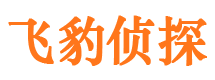 新浦私家侦探